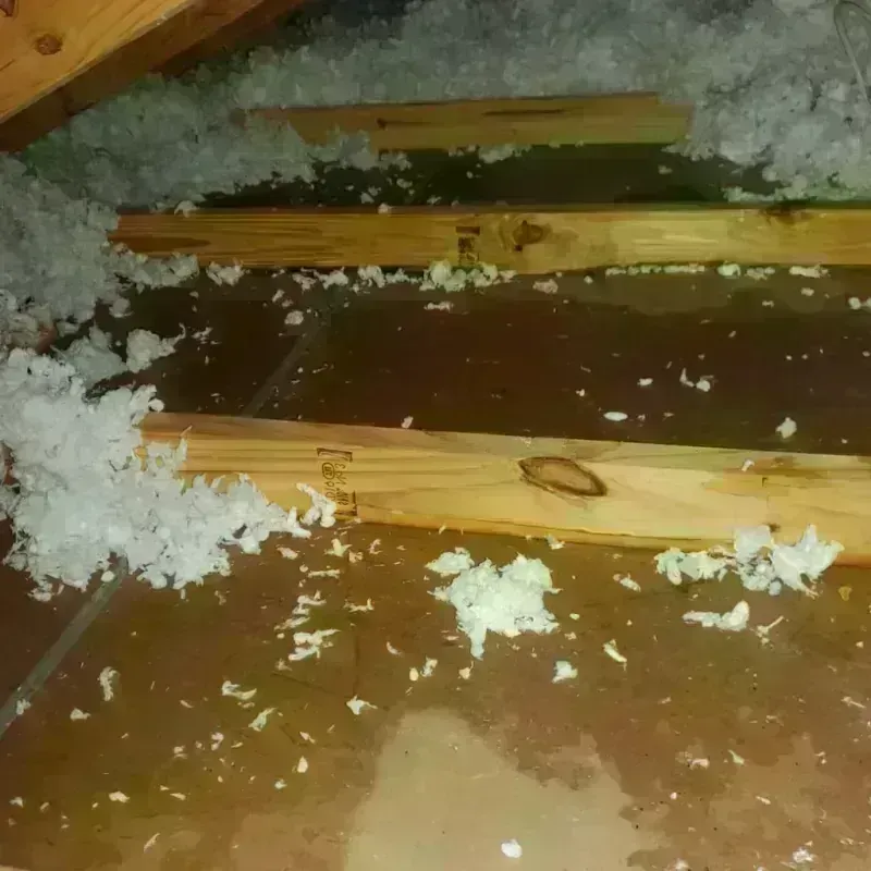 Attic Water Damage in North Salt Lake, UT