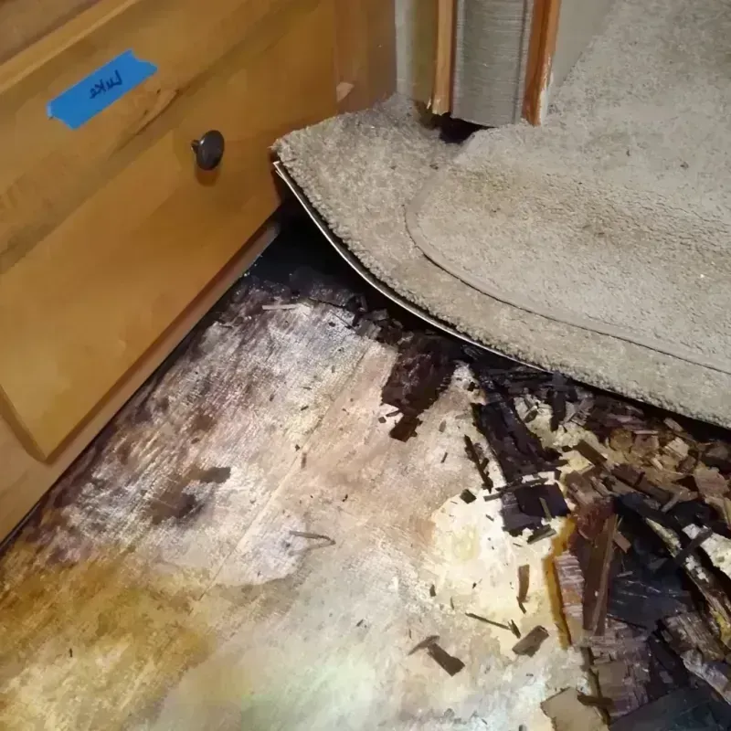 Wood Floor Water Damage in North Salt Lake, UT